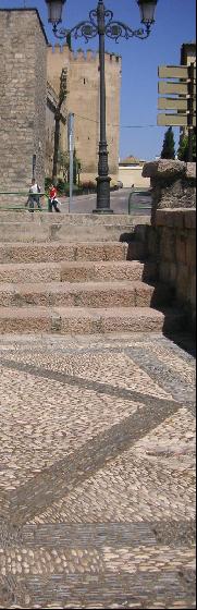 1168.jpg