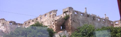 1351.jpg
