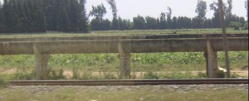 1425.jpg
