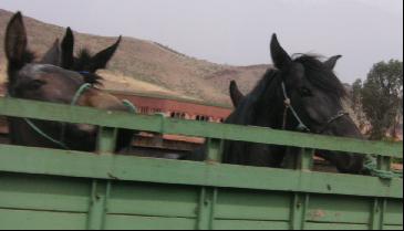 1705.jpg