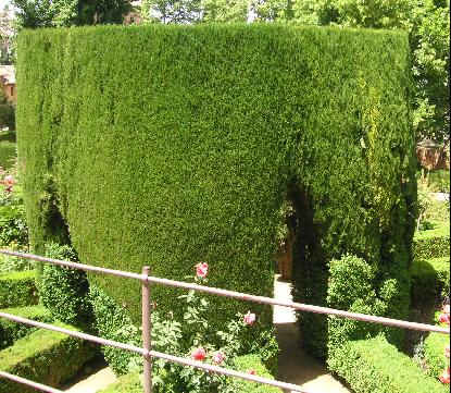 2012.jpg