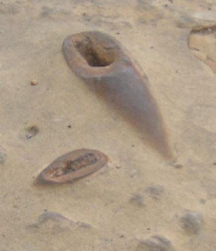 m2358.jpg