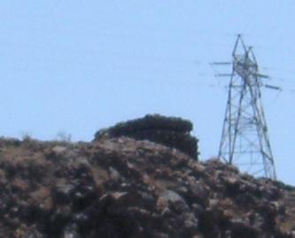 m2498.jpg