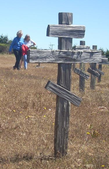 n2354.jpg