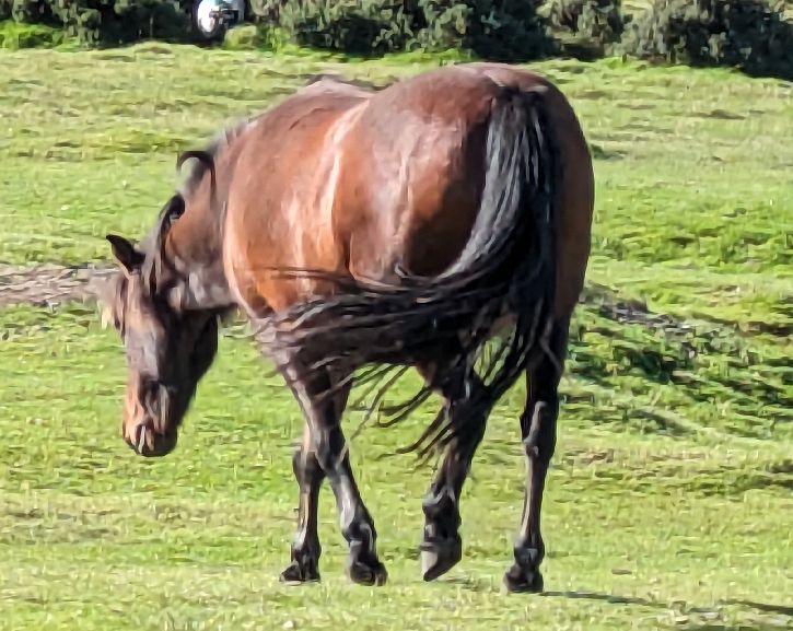 f/1.9 1395/1000000s ISO:42 Bright:7.57 Focal:5.43 scale: 31% d0841a.jpg