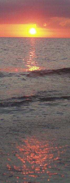 p0056.jpg