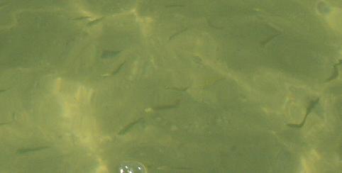 p0069.jpg