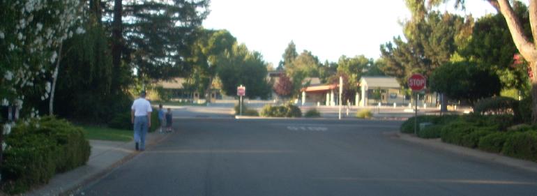 n2545.jpg