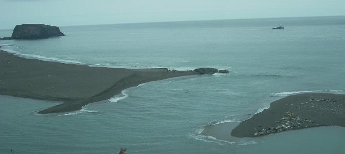 n2516.jpg